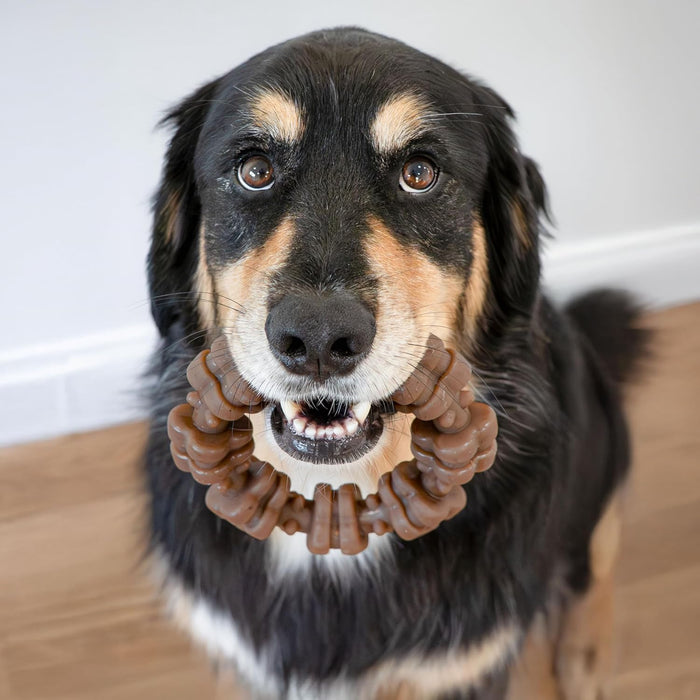 Strong Chew Ring Dog Toy, Chew Toy Made with Real Beef & Chicken