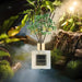 Reed Diffuser Sets- Eucalyptus & Moss Scented Diffuser with Sticks Home Fragrance Reed Diffuser for Bathroom Shelf Decor