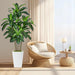 6FT Artificial Dracaena Tree with Tall White Planter, Floor Plant