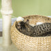 Elevated Cat Bed with Sisal Scratching Post