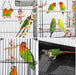 Bird Cage 64'' Medium Small Parrot Parakeet Bird Cages with Detachable Rolling Stand for Parrot Lovebirds Finches Parakeets Budgie Parrotlet Conures, Pet Flight Birdcage