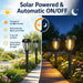 12 Pack Solar Lights Outdoor, Solar Pathway Lights Auto On/Off Waterproof Garden Landscape Lighting for Path, Yard, Walk