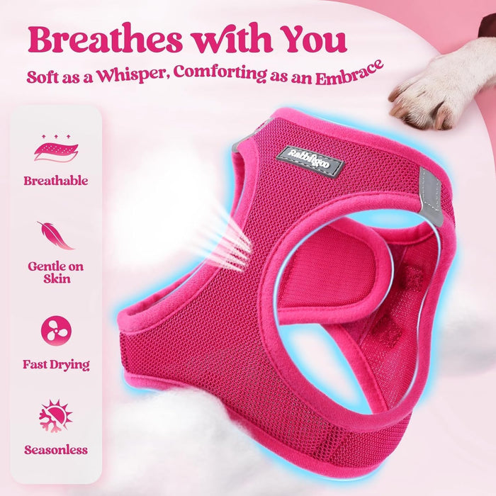 Dog Harness Small Sized and Leash Set, Step-in Puppy Pet Vest
