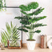 28" Tall Fake Plants, Monstera Plant in White Pot for Office Decor