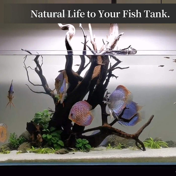 Natural Driftwood for Aquarium Decor Fish Tank Decor Reptile Decor