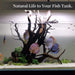 Natural Driftwood for Aquarium Decor Fish Tank Decor Reptile Decor