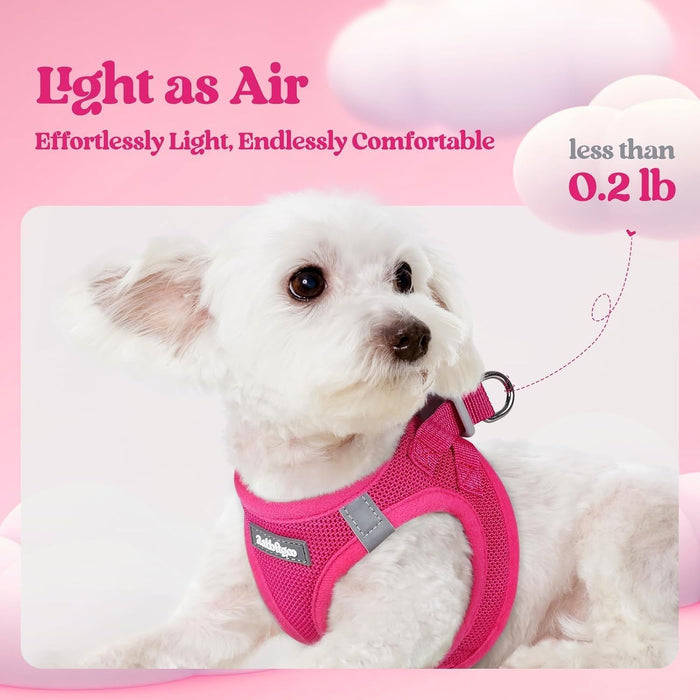 Dog Harness Small Sized and Leash Set, Step-in Puppy Pet Vest