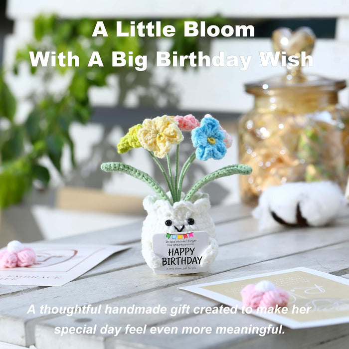 Crochet Forget Me Not Flower Pot Birthday Gifts for Women