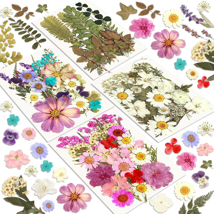 Dried Flowers, 100Pcs Pressed Flowers for Craft