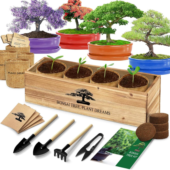 Bonsai Tree Kit, Bonsai Starter Kit with Seeds & Tools, Tree Live Plants Indoor, Gardening Gifts for Women Men Mom Fathe