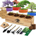 Bonsai Tree Kit, Bonsai Starter Kit with Seeds & Tools, Tree Live Plants Indoor, Gardening Gifts for Women Men Mom Fathe