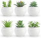 6 Pack Succulents Fake Plants for Bedroom Bathroom Home Decor