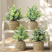 Small Fake Plants, 4 Pack Artificial Plants in Handwoven Seagrass Baskets