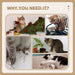 Indoor Cat Tower with Scratching Posts