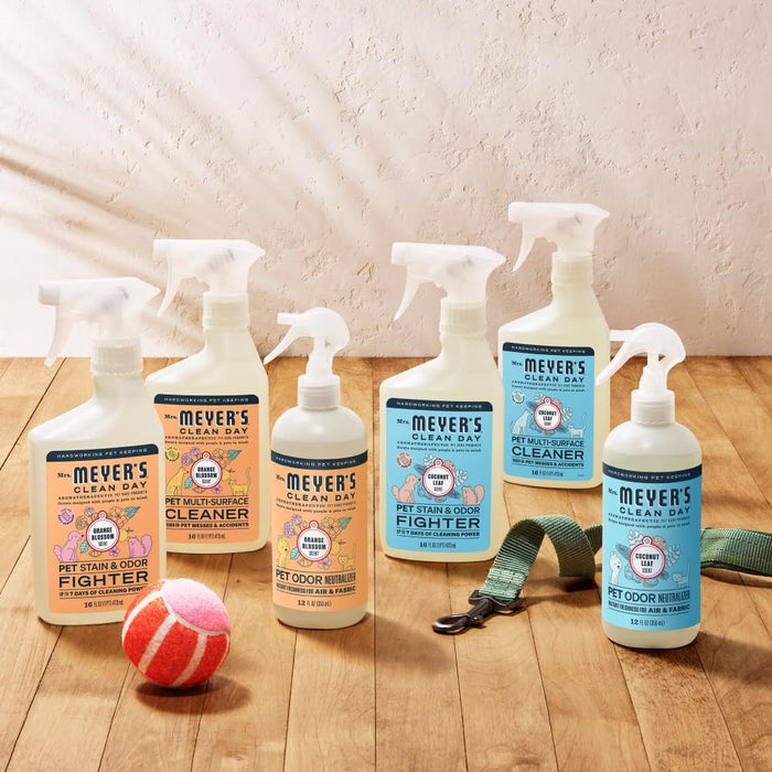 CLEAN DAY Pet Odor Neutralizer, Coconut Leaf Scent, 12oz