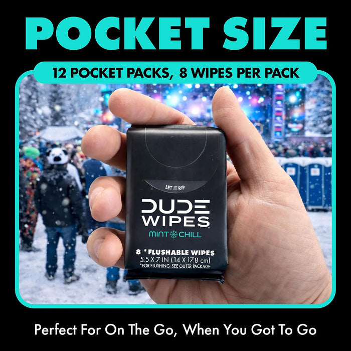 Mint Chill Pocket Packs, Adult Flushable Travel Wipes, 96 Count