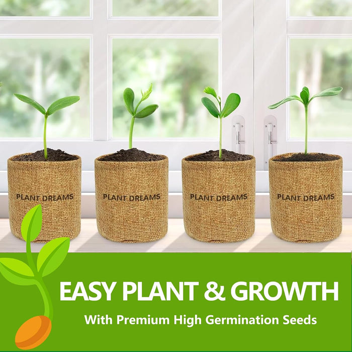 Bonsai Tree Kit, Bonsai Starter Kit with Seeds & Tools, Tree Live Plants Indoor, Gardening Gifts for Women Men Mom Fathe