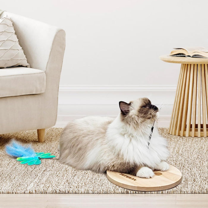 Interactive cat Toy, Automatic Cat Wand Toy with Stable Wooden Base, 2 PCS Detachable Cat Teaser, 5PCS Refills Replacement & Hanging Elastic String, Kitty Kitten Toys Feather Spring Bird Toy