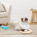 Interactive cat Toy, Automatic Cat Wand Toy with Stable Wooden Base, 2 PCS Detachable Cat Teaser, 5PCS Refills Replacement & Hanging Elastic String, Kitty Kitten Toys Feather Spring Bird Toy