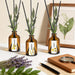 Reed Diffuser Set, Eucalyptus, Linen, Lavender, Oil Diffusers with Sticks