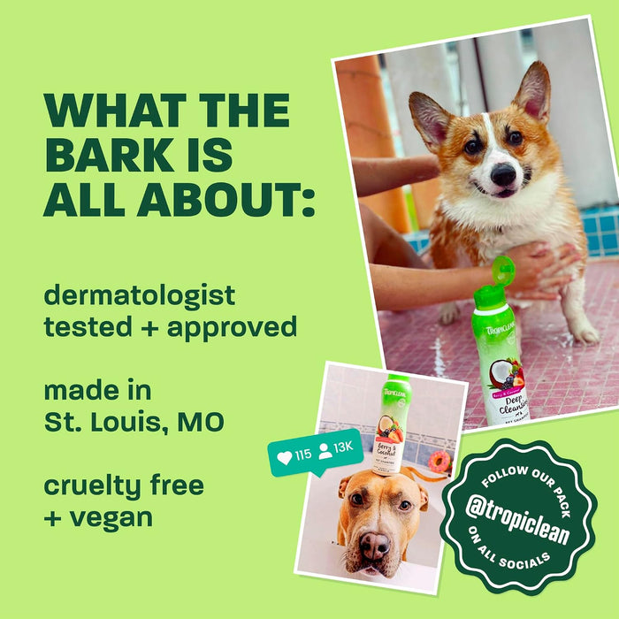 Oatmeal Dog Shampoo, Medicated, 20oz