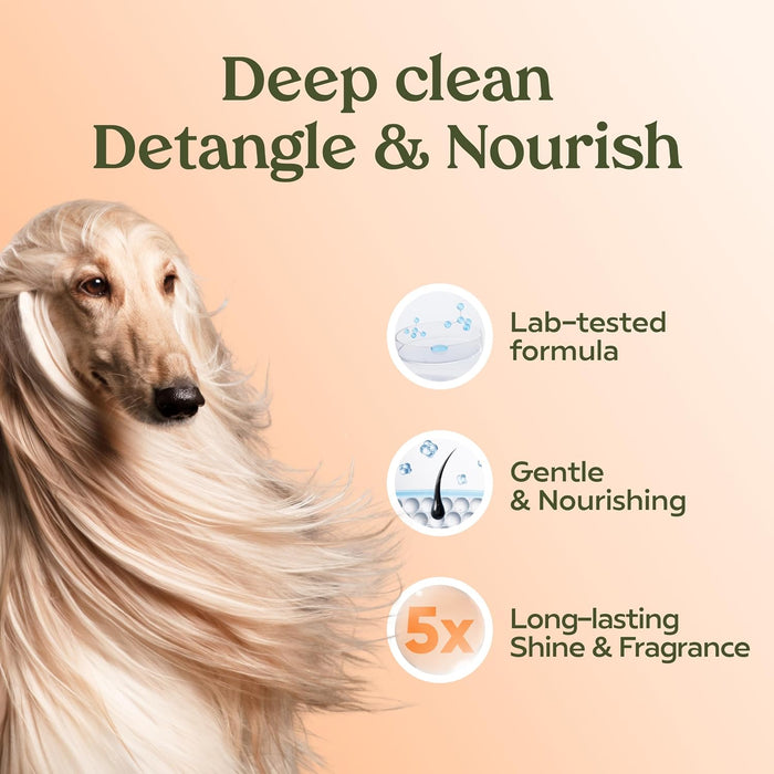 PAWFUME Deshedding Dog Shampoo and Conditioner, Show Dog, 1-Pack