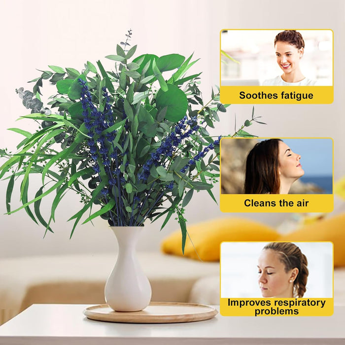 5 Kinds Mixed Dried Eucalyptus Stems & Lavender Flowers Bundle for Shower