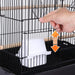 Bird Cage 64'' Medium Small Parrot Parakeet Bird Cages with Detachable Rolling Stand for Parrot Lovebirds Finches Parakeets Budgie Parrotlet Conures, Pet Flight Birdcage