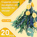 5 Kinds Mixed Dried Eucalyptus Stems & Lavender Flowers Bundle for Shower