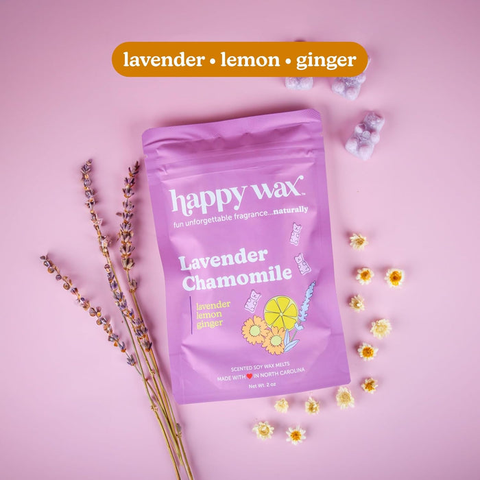 Scented Soy Wax Melts 6oz Variety Pack - Spa Day Mix
