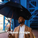 Auto Open Water Repellent Stick Umbrella with Classic Wood J Hook Handle