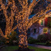 Christmas Lights 100 Count Mini Clear Lights 21ft White Wire Christmas Tree String Lights Set for Outdoor Indoor Christm