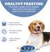 Fun Feeder Slo Bowl – Medium 2‑Cup Capacity, Slow Feeding, Small to Medium Dogs & Cats, Non-Slip, Blue, Notch Pattern