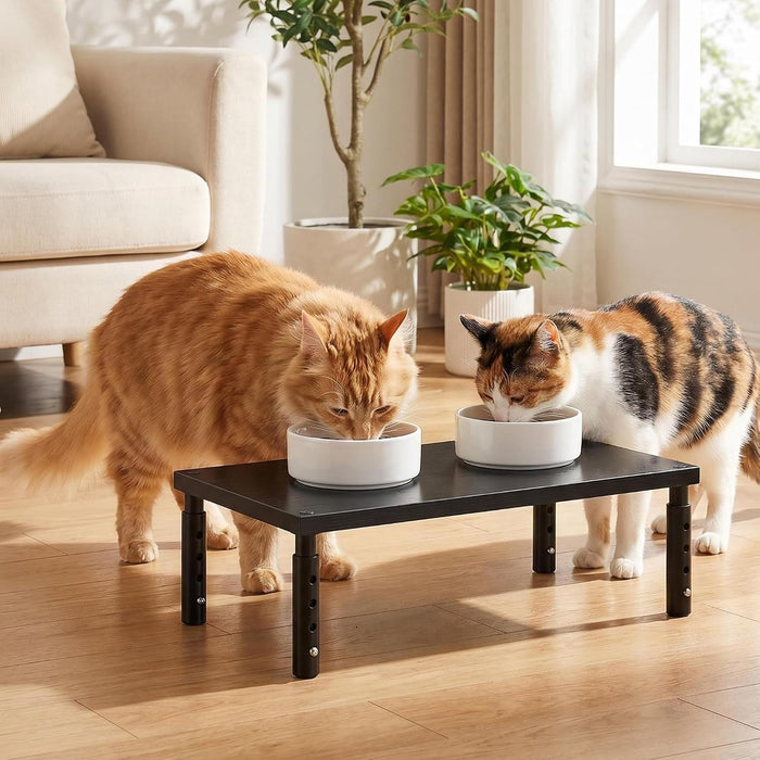 Adjustable Cat Food Stand, Elevated Cat Feeder Stand with 4 Height Settings, Automatic Cat Feeder & Tradition Bowls, Rai