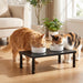 Adjustable Cat Food Stand, Elevated Cat Feeder Stand with 4 Height Settings, Automatic Cat Feeder & Tradition Bowls, Rai