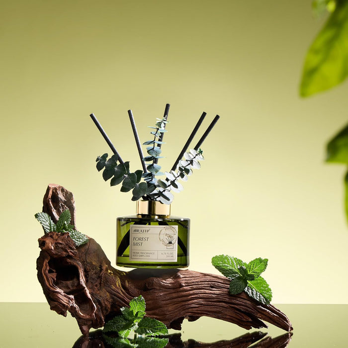 Reed Diffuser Set with 6.76 fl oz Forest Mist Scent Essential Oils and 3 Leaves & 8 Diffuser Sticks,Bathroom Shelf Decor & Air Freshener, House Bedroom Office Decor & Gifts