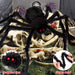 200" Halloween Decorations Spider Web Outdoor +59" Giant Spider Décor