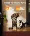 Automatic Cat Feeder for 2 Cats Pets, Timed Cat Food Dispenser
