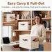 Fabric Storage Bins with Lids, Closet Storage Bins