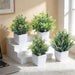 Fake Plants 4 Packs Small Artificial Greenery Mini White Potted Plants Bathroom Accessories Decorations for Desk Bathroom Office Home Room Kitchen Table Indoor