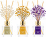 Reed Diffuser Set of 3,Clean Linen Cashmere Vanilla Lavender Garden Oil Reed Diffusers for Bedroom Living Room Office Aromatherapy Oil Reed Diffuser for Gift 50ml x 3