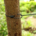 Retractable Portable Travel Clothesline Camping Clothing Line with 12 Clips