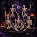 2 Pack 36" Halloween Skeleton Decorations,Human Bones for Halloween Party with Movable Joints,for Haunted Houses, Front Lawn, Graveyard Props