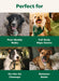 Dog Wipes for Paws & Butt, Deodorizing, Unscented, 100ct