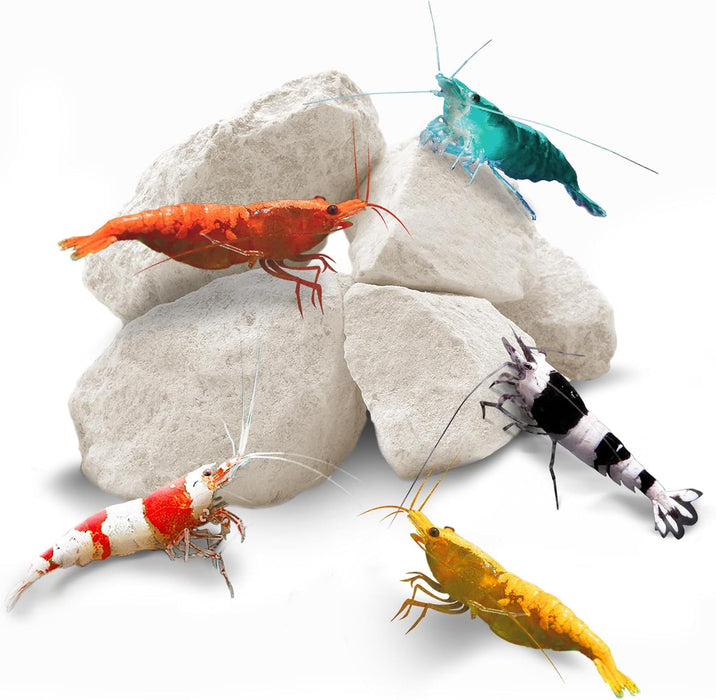 Shrimp Rocks, for Crayfish, Hermit Crab, Snails, Crystal Red, Amano, and Ghost Shrimps (60 Grams)