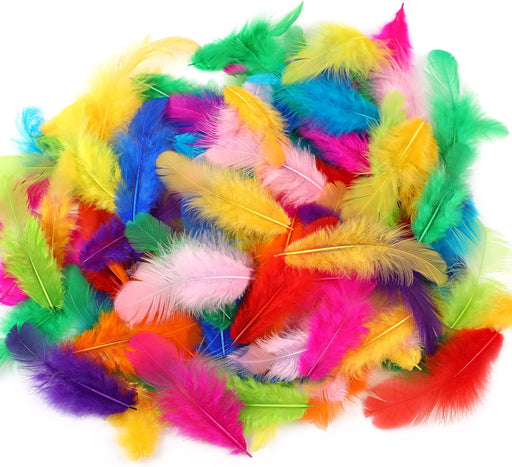Colorful Craft Supplies Feathers Bulk for Crafting,300Pcs,3-5inch
