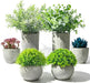 Large Fake Plants, Artificial Plants, Indoor Eucalyptus Plant