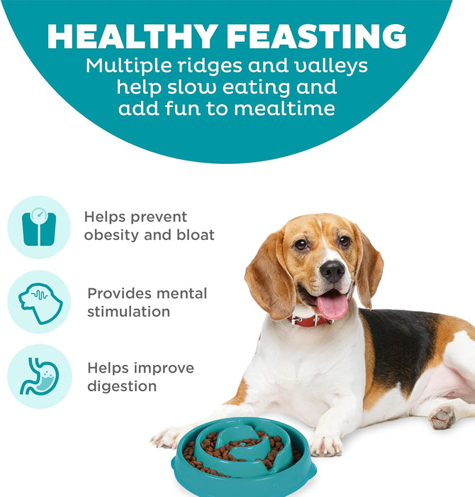 Fun Feeder Slo Bowl – Medium 2‑Cup Capacity, Slow Feeding, Small to Medium Dogs & Cats, Non-Slip, Turquoise, Drop Patter