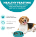 Fun Feeder Slo Bowl – Medium 2‑Cup Capacity, Slow Feeding, Small to Medium Dogs & Cats, Non-Slip, Turquoise, Drop Patter