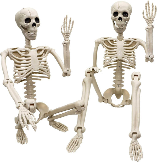 2 Pack 36"Halloween Skeleton - 3 ft Life Size Human Skeleton with Full Body Posable Joints Plastic Skeleton for Hallowee